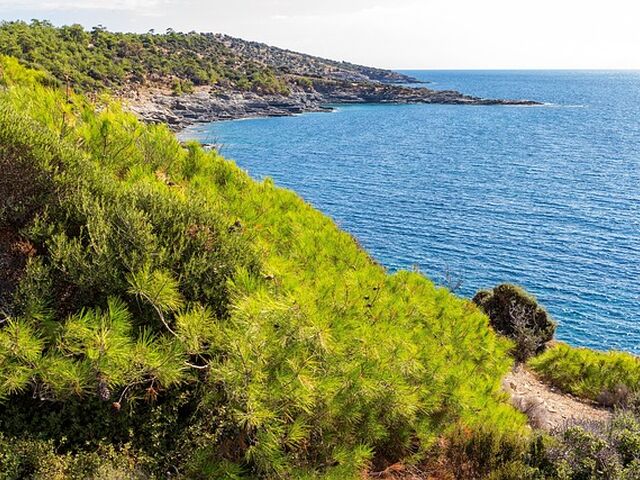 Halkidiki & Selanik & Thassos Adası Turu