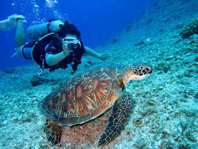 Sharm El Sheikh Kızıldeniz Rotası Türk Hava Yolları İle 5 Gece