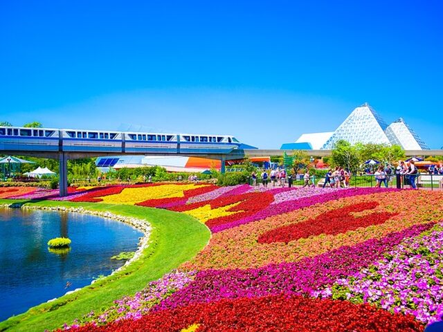 Miami & Orlando Turu Kıyı Rotaları