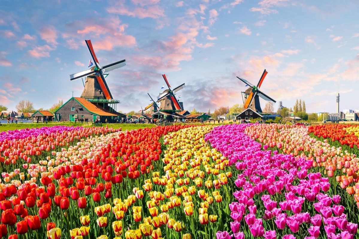 Elegant Benelux & Alsace & Paris Turu Ajet Hava Yolları İle 7 Gece (Ekstra Turlar Dahil) (AMS-BSL)