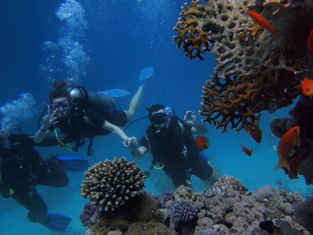 Pegasus Havayolları ile Sharm el Sheikh, Kahire ve İskenderiye Turu 7 Gece 9 Gün