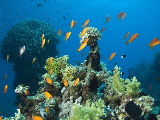 Vizesiz Sharm El Sheikh Turu Ajet Hava Yolları İle 3 Gece 5 Gün 