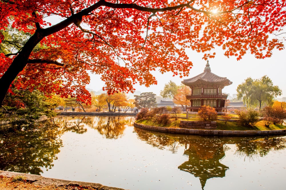 Koyo Zamanı Elegant Japonya & Güney Kore Turu Qatar Hava Yolları İle 9 Gece (Ekstra Turlar Dahil) 