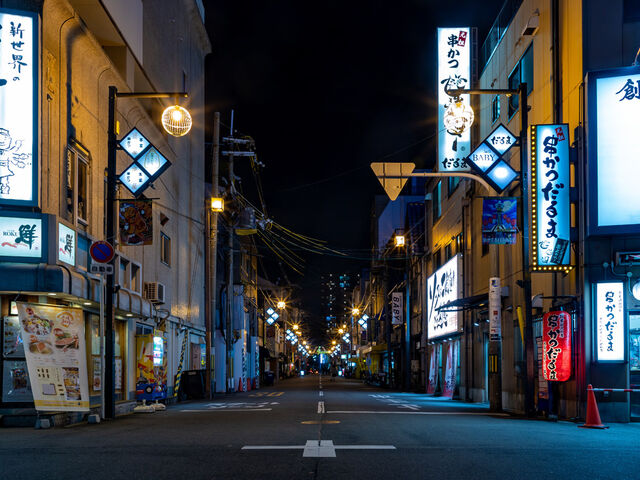 Elegant Japonya All Nippon Hava Yolları İle 6 Gece (Ekstra Turlar Dahil)