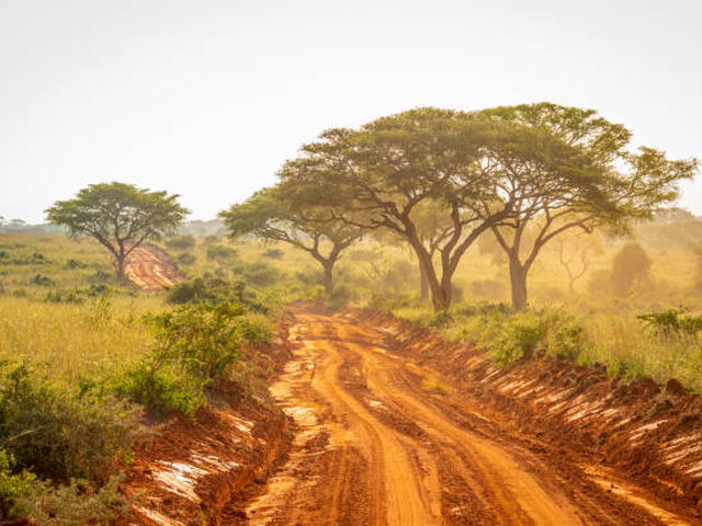 Elegant Ruanda & Uganda Turu Türk Hava Yolları İle 8 Gece (Ekstra Turlar Dahil)
