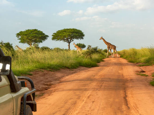 Elegant Uganda Turu Türk Hava Yolları İle 7 Gece (Ekstra Turlar Dahil)