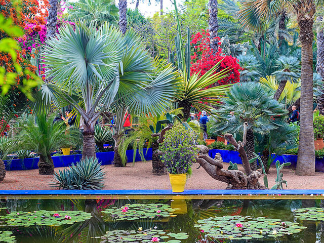 Elegant Casablanca & Marakeş Turu Türk Hava Yolları İle 3 Gece (Ekstra Turlar Dahil)