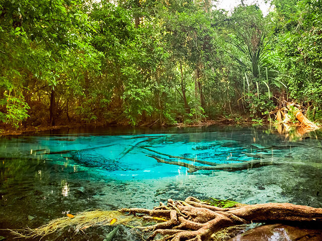 Elegant Phuket & Bangkok Turu 6 Gece (Ekstra Turlar Dahil) (HKT-BKK) 